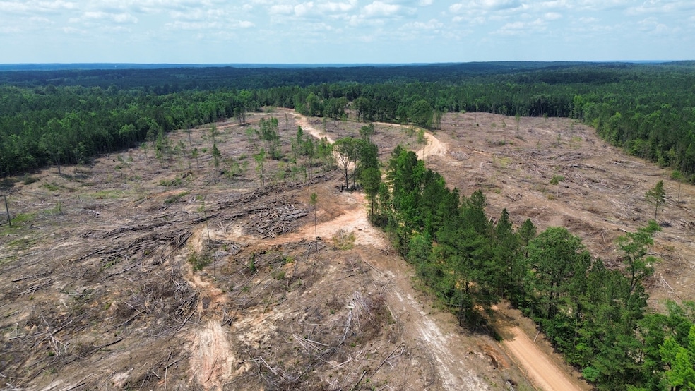000 Cr 5217, Ethel, MS 39067 - photo 1