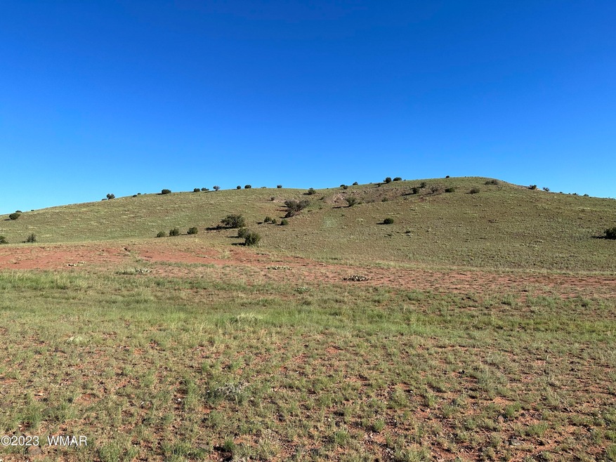 View of hillside and valley floor