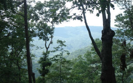 LT 2C Rainbow Mountain Dr, Ellijay, GA 30536 - photo 1