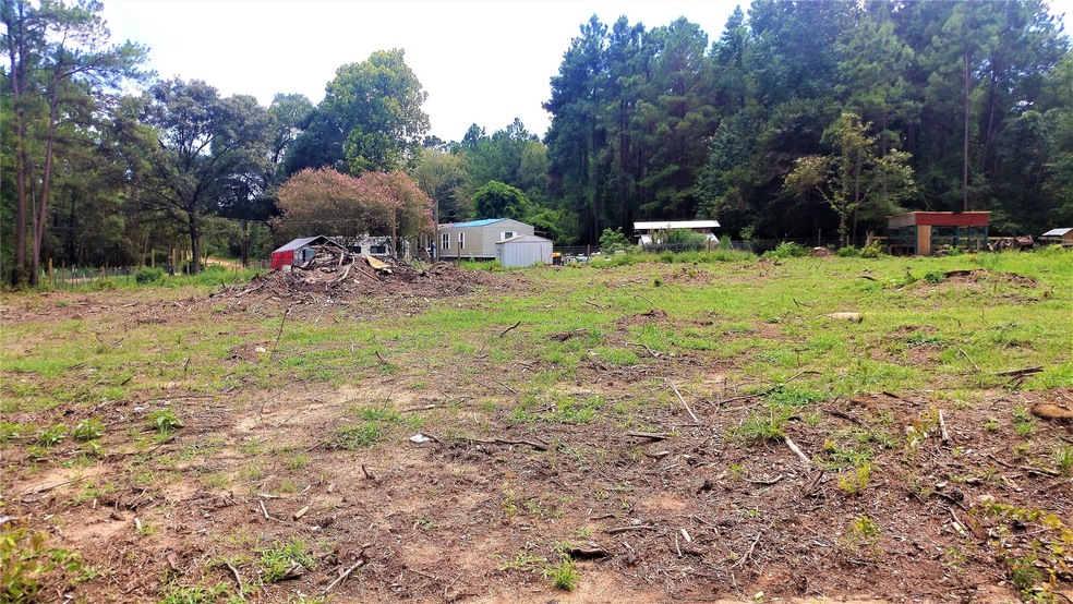 12810 Pinebrook Dr, Plantersville, TX 77363 - photo 1