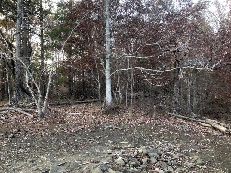 3828 Red Bird Cir, Gainesville, GA 30506 - photo 1