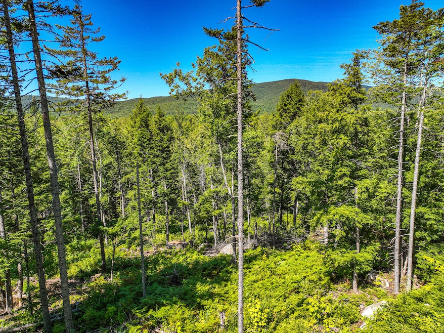 Lot 39 Sawyer Notch Rd, Andover, ME 04216 - photo 1