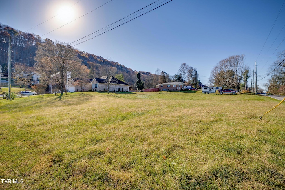 Tbd Leaf Point, Kingsport, TN 37663 - photo 1