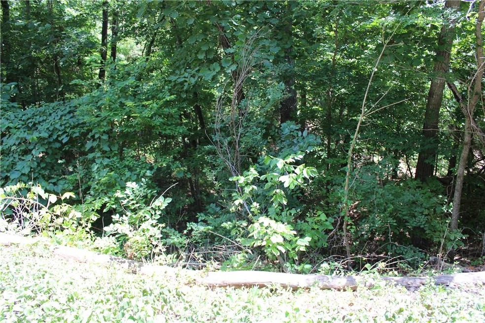 0 St Ives Ln unit 1103719, Bella Vista, AR 72714 - photo 1