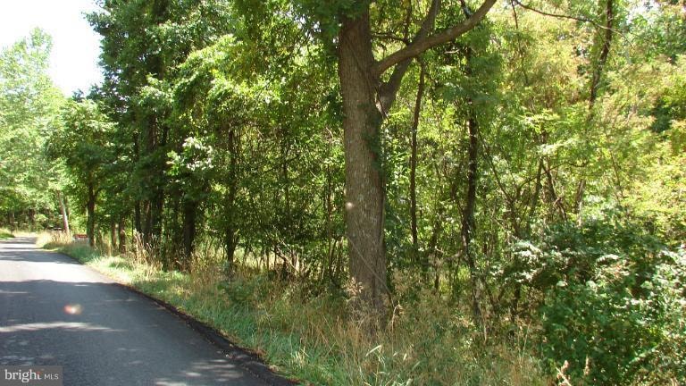 0 Rock Gap Rd unit 1004526460, Berkeley Springs, WV 25411 - photo 1