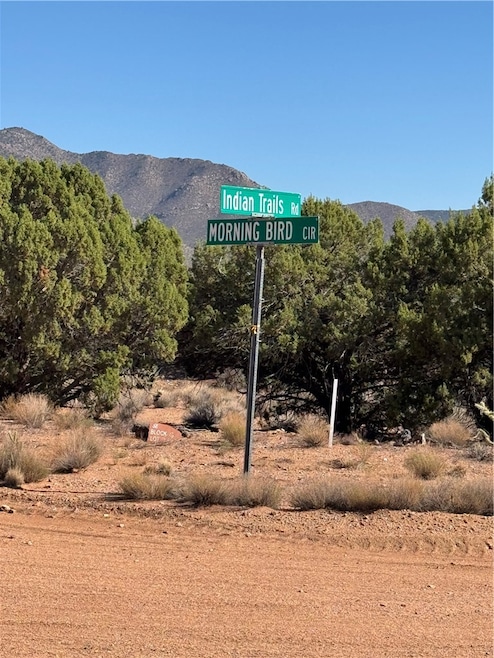 00 E Morning Bird Cir, Hackberry, AZ 86411 - photo 1