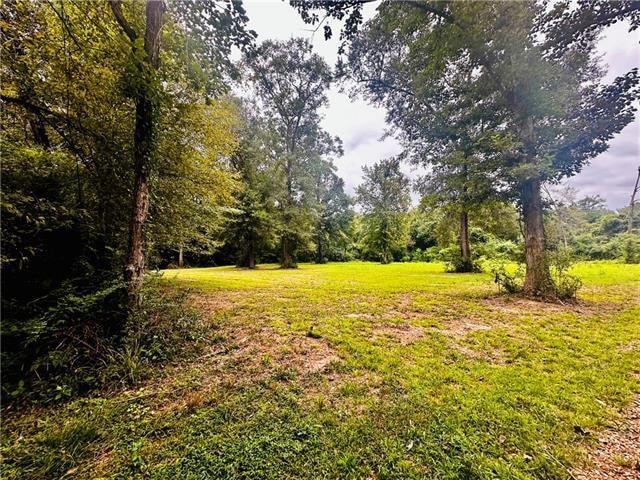 Parcel#3 16 Hwy, Franklinton, LA 70438 - photo 1
