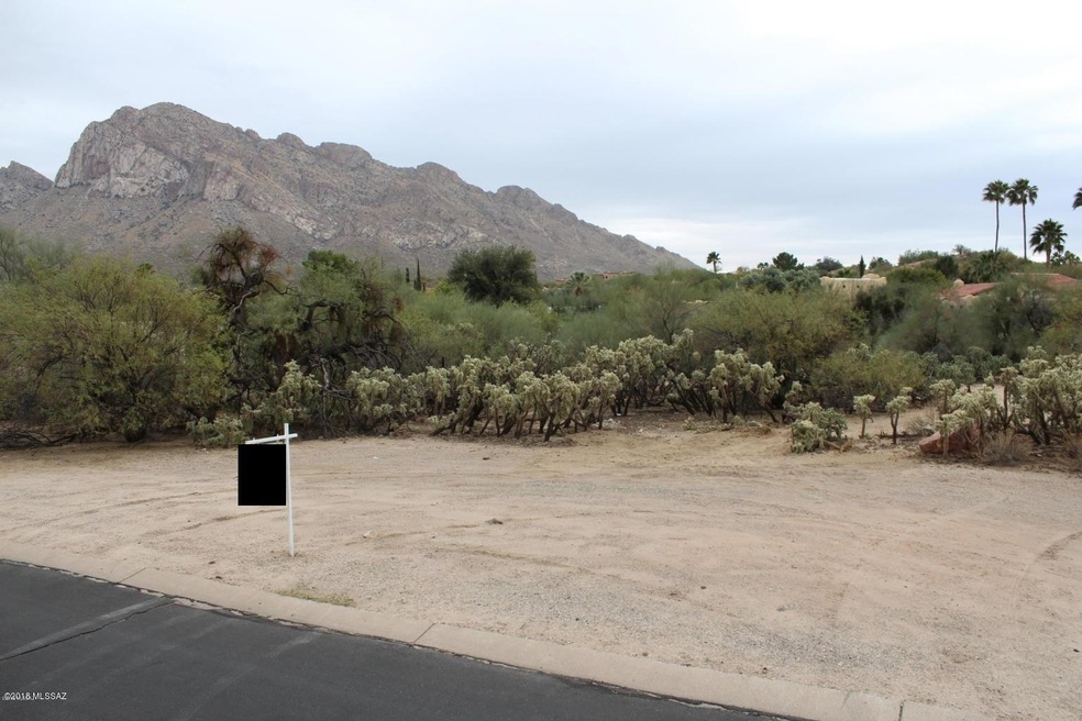 115 W Greenock Dr unit 204, Oro Valley, AZ 85737 - photo 1