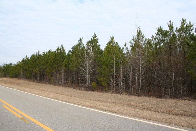 0 Colvin Kennedy Rd unit 332042, Lincolnton, GA 30817 - photo 1