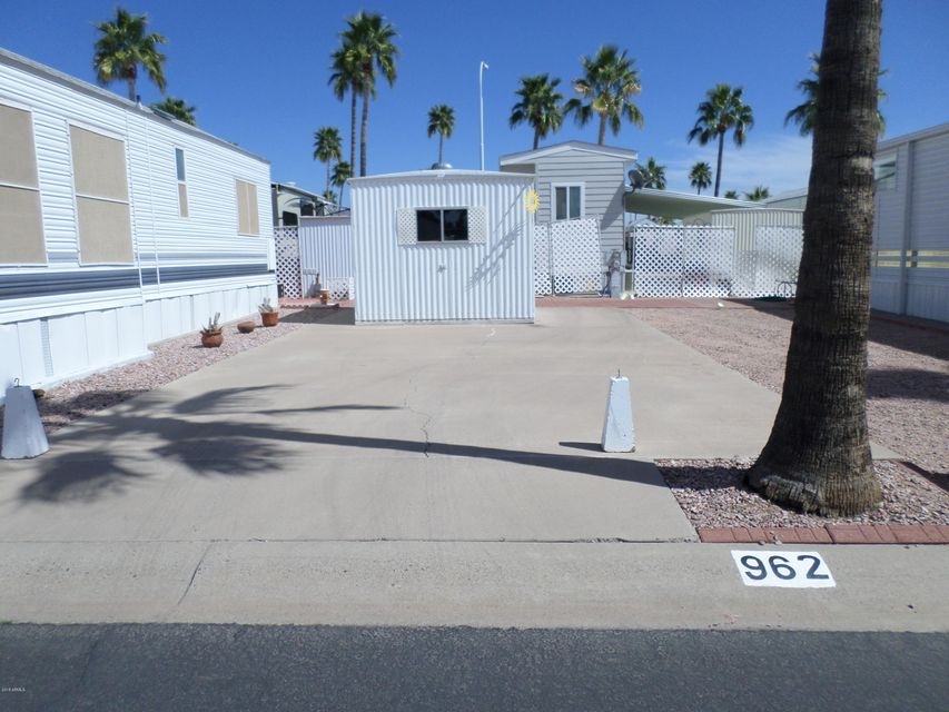VACANT LOT IN THE PET SECTION