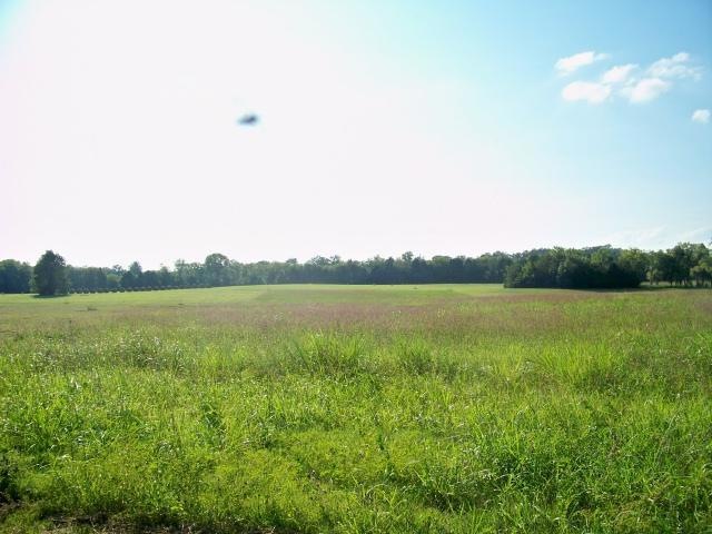 8 Mill Rd, Lebanon, TN 37090 - photo 1