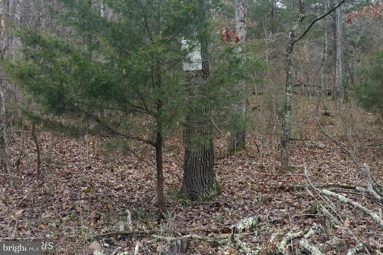 0 Panhandle Rd unit VAWR140468, Front Royal, VA 22630 - photo 1