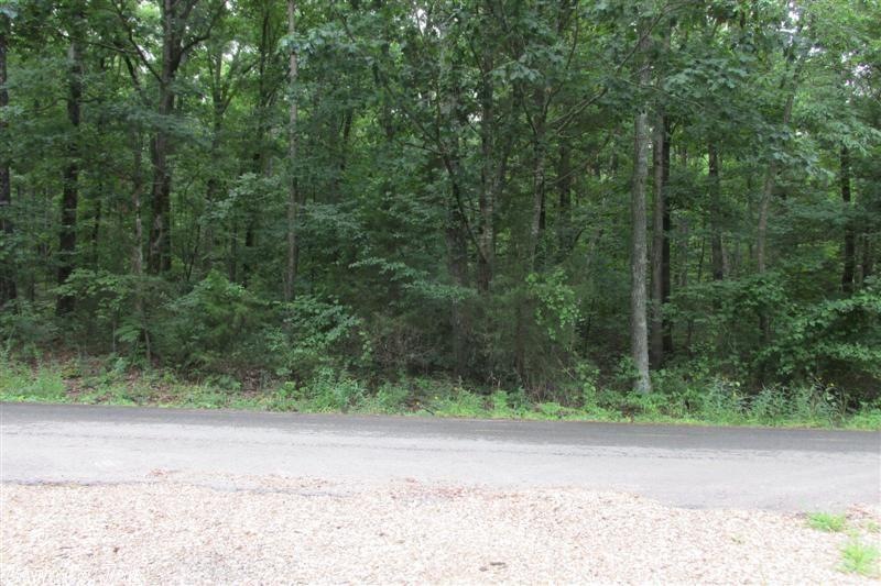 0 Lot 29 Dr unit 20037884, Heber Springs, AR 72543 - photo 1