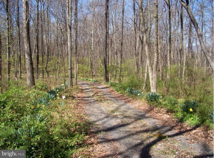 0 Snake Hill Rd, Middleburg, VA 20117 - photo 1