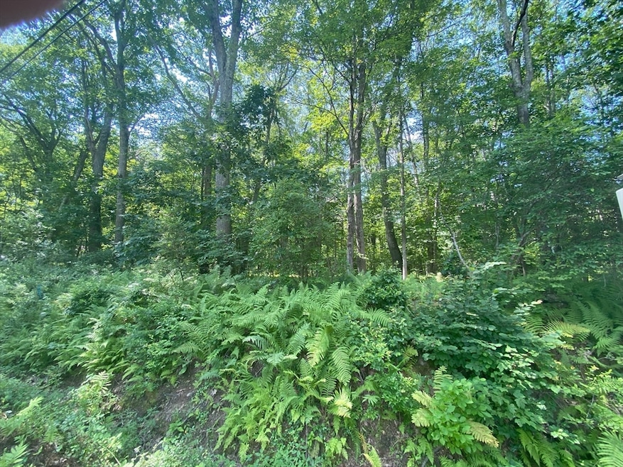 Lot 2R &3 Chapin Rd, Hampden, MA 01036 - photo 1
