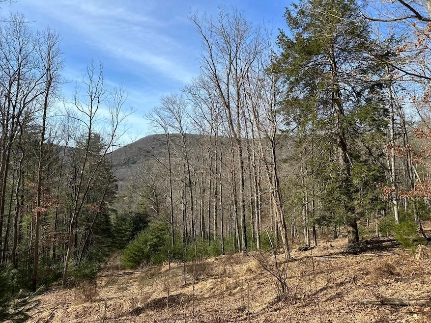 0 Winslow Hill Rd unit 21440465, Benezette, PA 16056 - photo 1