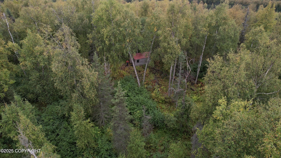 A1 E Kashwitna Lake Area, Willow, AK 99688 - photo 1