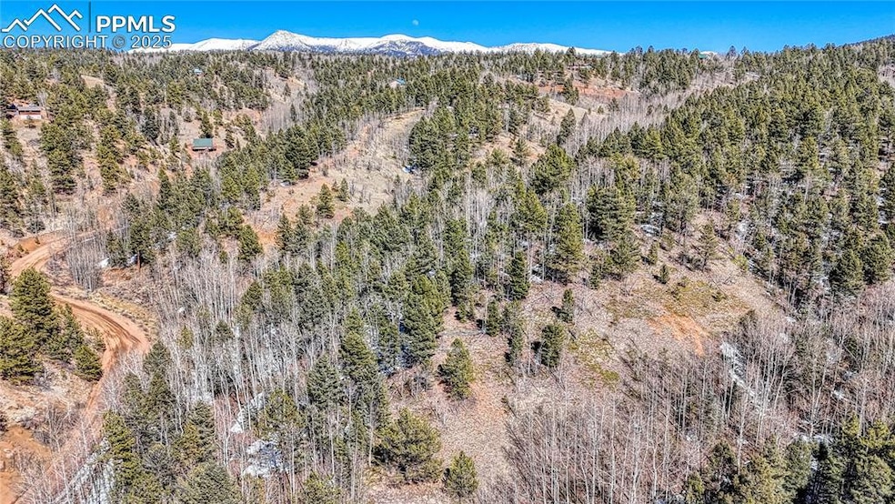 542 Vivenda Rd, Cripple Creek, CO 80813 - photo 1