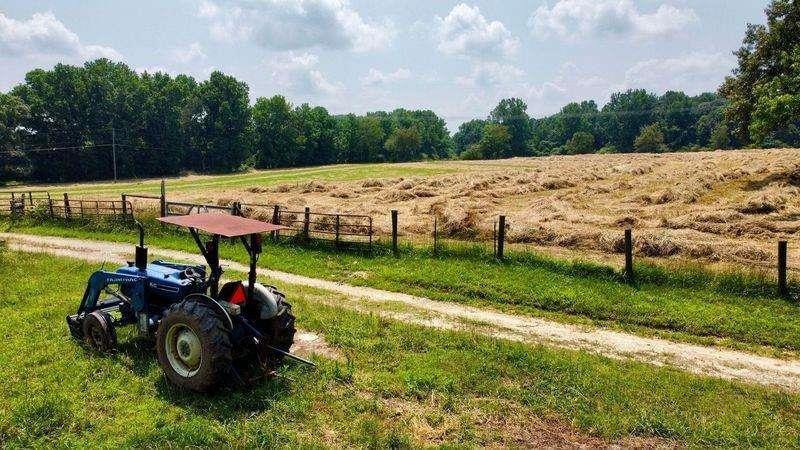 7286 County Line Rd, Lula, GA 30554 - photo 1