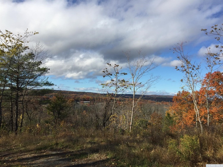 358 Flats Rd, Athens, NY 12015 - photo 1