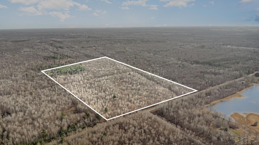 0 S County Line Rd unit 50195279, Shepherd, MI 48883 - photo 1