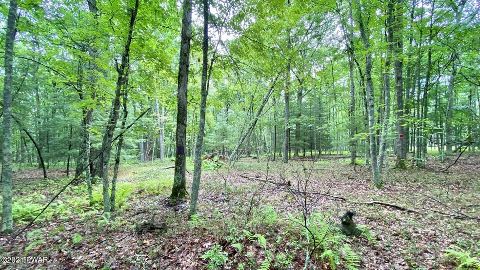 133 Briarcrest Dr, Lackawaxen Township, PA 18428 - photo 1