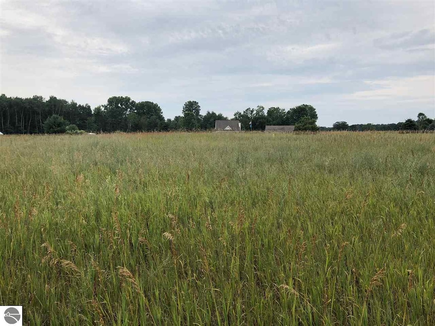 1003/1005 Pyrenees Dr, Lake Isabella, MI 48893 - photo 1