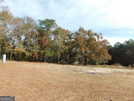 336 Jenk Hill Rd, Sylvania, GA 30467 - photo 1