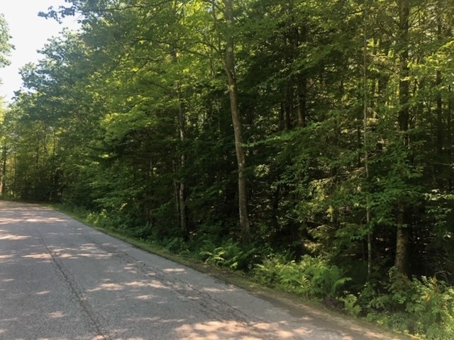 TM 56-1-31 Tupeck Ln, Tuftonboro, NH 03816 - photo 1