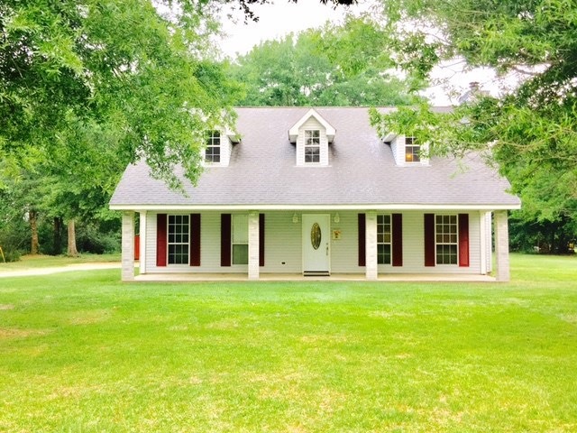 Main View