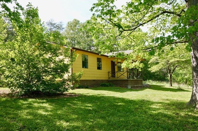 Main View