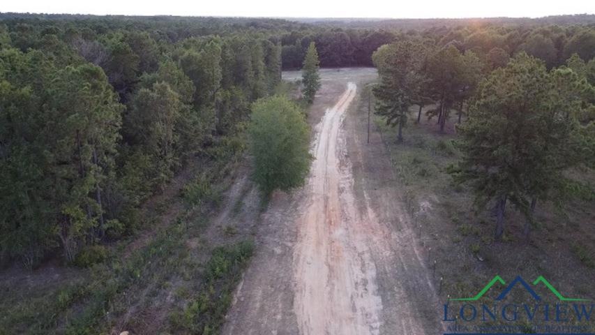 TBD Cr 233, Arp, TX 75750 - photo 1