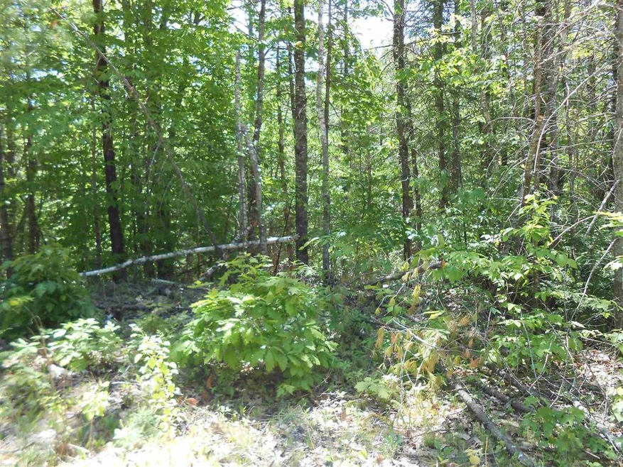 0 Granite Rd unit 4760871, Effingham, NH 03882 - photo 1