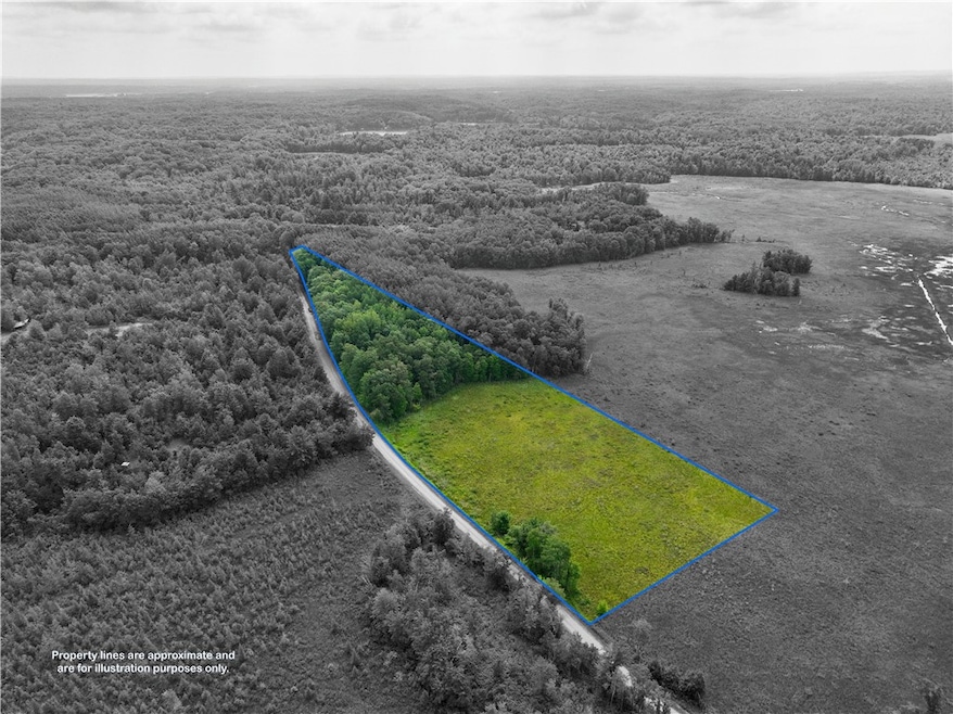 9189 300th Ave, New Auburn, WI 54757 - photo 1