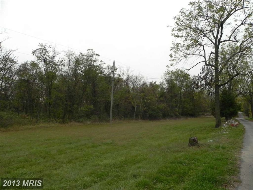 0 Jamestown Rd unit 1003749498, Summit Point, WV 25446 - photo 1