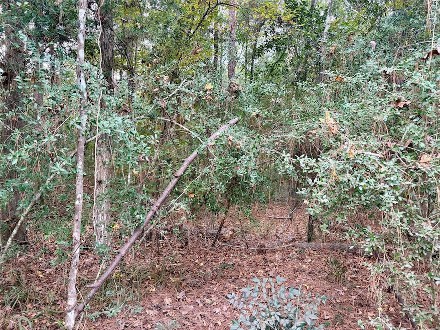 TBD Magnolia Duke Dr, Livingston, TX 77351 - photo 1