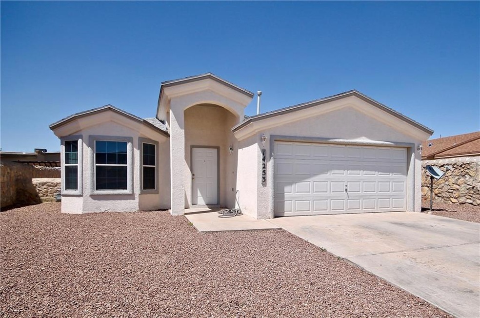 14253 Desert Stone Dr, Horizon City, TX 79928 - photo 1