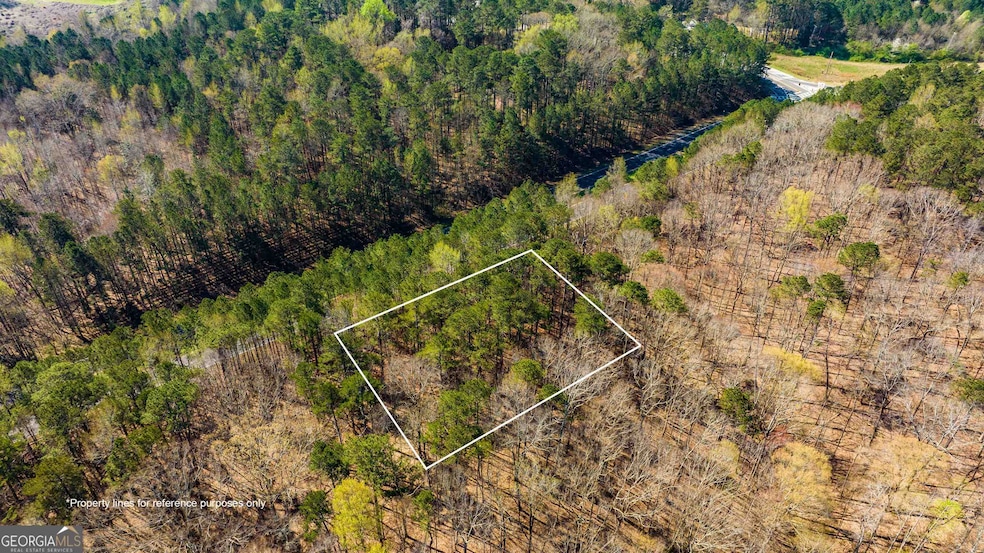 0 Highway 92 unit 10513871, Fairburn, GA 30213 - photo 1