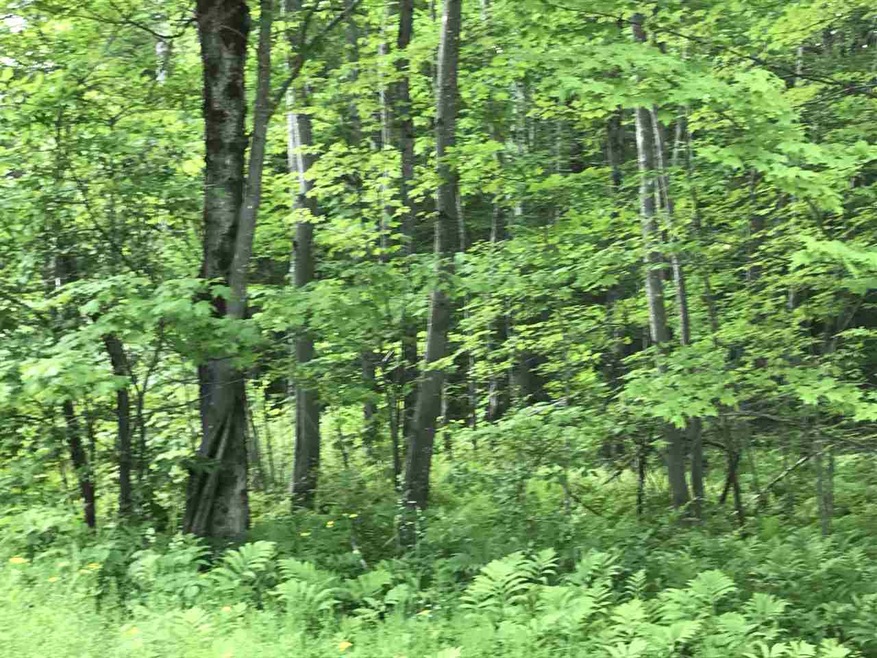 00 Holden Hill Rd unit Lot 2, Weston, VT 05161 - photo 1