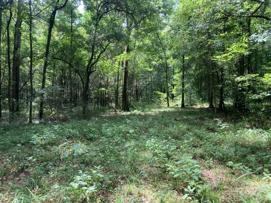 0 McPhaul Rd, Crawfordville, FL 32327 - photo 1