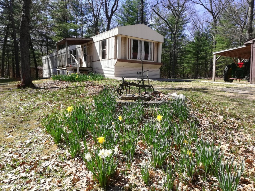 653 Home Acres St, Brohman, MI 49312 - photo 1