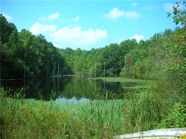 8152 Davison Rd, Oldenburg, IN 47036 - photo 1