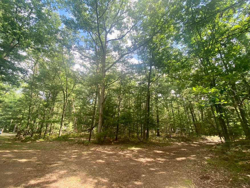 VL Honeymoon Lake Dr, Baldwin, MI 49304 - photo 1