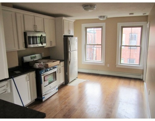 29 Wigglesworth St unit 3, Roxbury Crossing, MA 02120 - photo 1