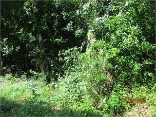 1015 NW Madison Aly, Thomasville, GA 31792 - photo 1