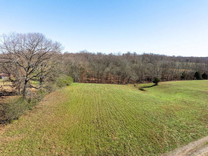 1087 Cowan Rd, Dickson, TN 37055 - photo 1