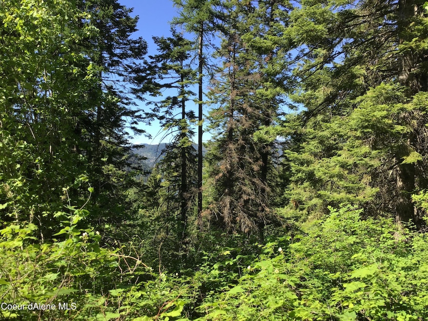 0 Fly Catcher Lts 13 & 14 unit 25-3423, St. Maries, ID 83861 - photo 1