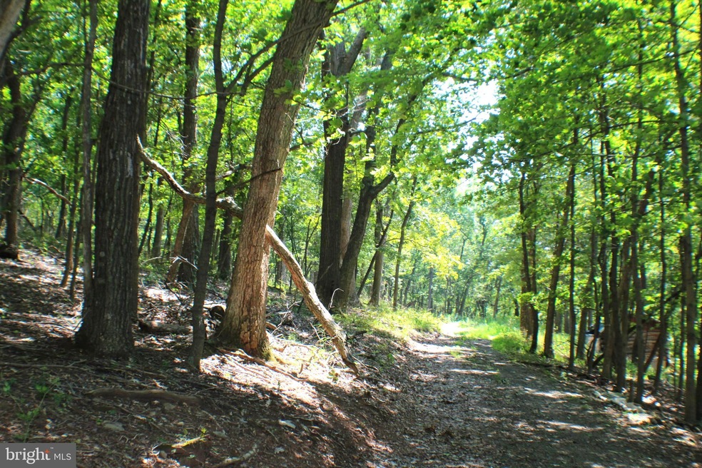 2254 High Knob Rd, Old Fields, WV 26845 - photo 1