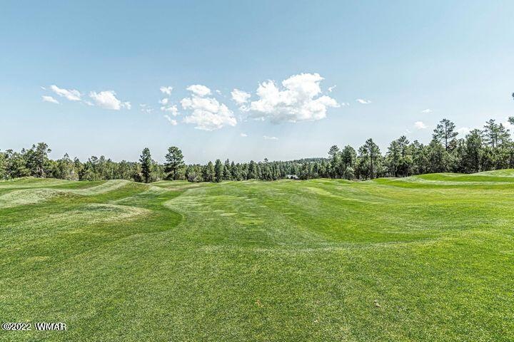 On the Fairway