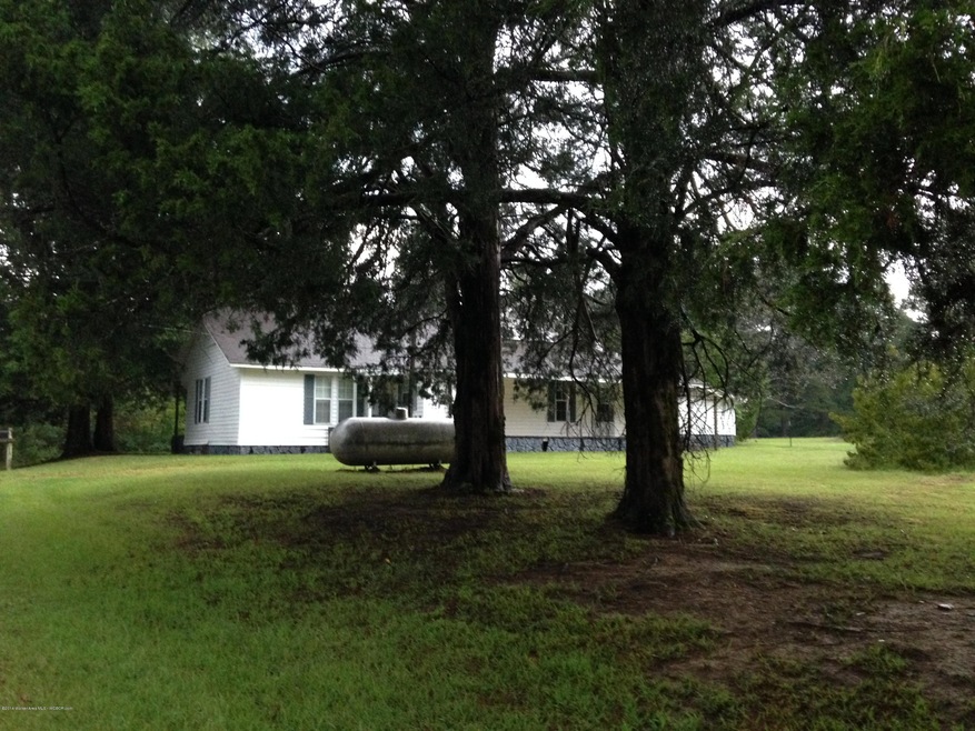 Large tree shaded lawn